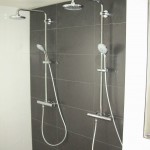 Douche, dubbele kranen, zwart, wit